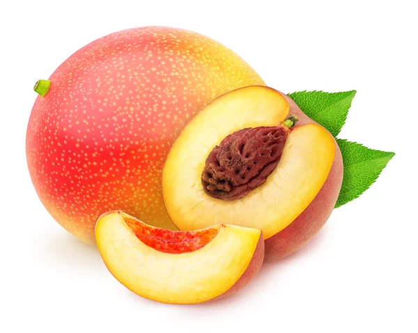 Peach Mango - Shea Jojoba Butter