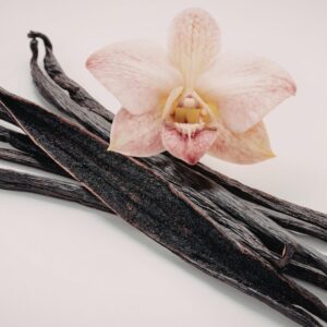 Vanilla Skin Inspired by Phlur